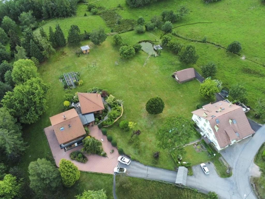 ※ Residence Pomme De Pin - Terrasse - Nature ※ Xonrupt-Longemer Dış mekan fotoğraf