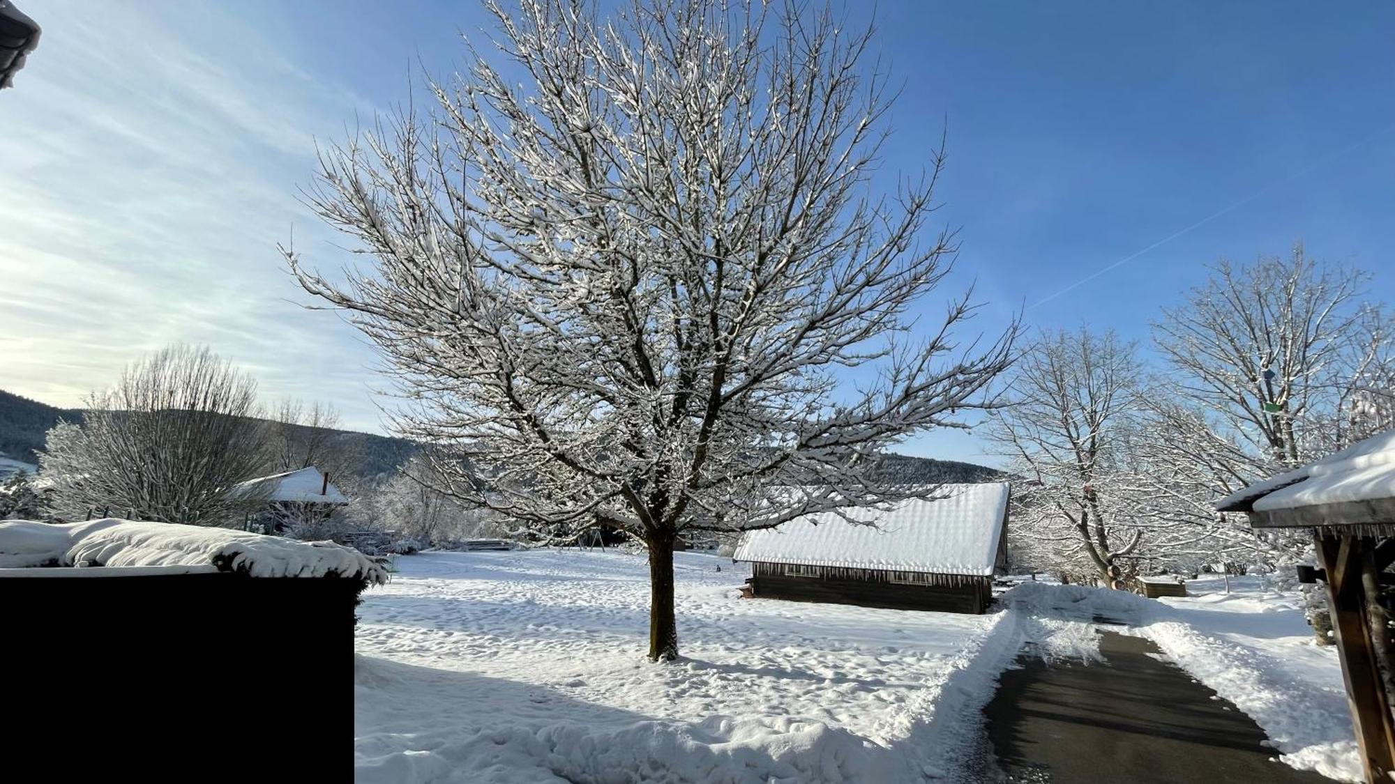 ※ Residence Pomme De Pin - Terrasse - Nature ※ Xonrupt-Longemer Dış mekan fotoğraf